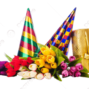 Parties & Festival needs
